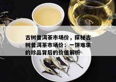 古树普洱茶市场价，探秘古树普洱茶市场价：一饼难求的珍品背后的价值解析