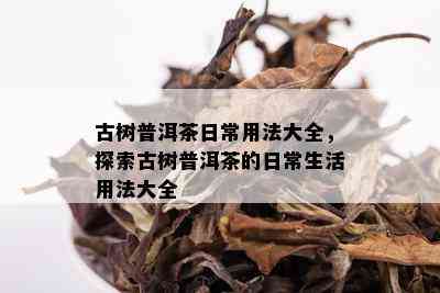 古树普洱茶日常用法大全，探索古树普洱茶的日常生活用法大全