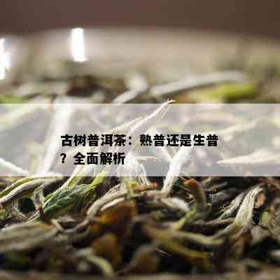 古树普洱茶：熟普还是生普？全面解析