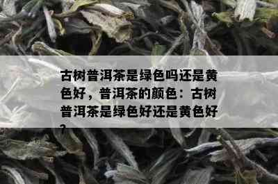 古树普洱茶是绿色吗还是黄色好，普洱茶的颜色：古树普洱茶是绿色好还是黄色好？