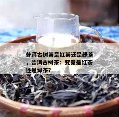 普洱古树茶是红茶还是绿茶，普洱古树茶：究竟是红茶还是绿茶？