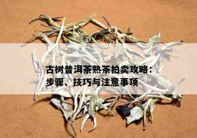 古树普洱茶熟茶拍卖攻略：步骤、技巧与注意事项