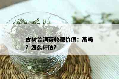 古树普洱茶收藏价值：高吗？怎么评估？