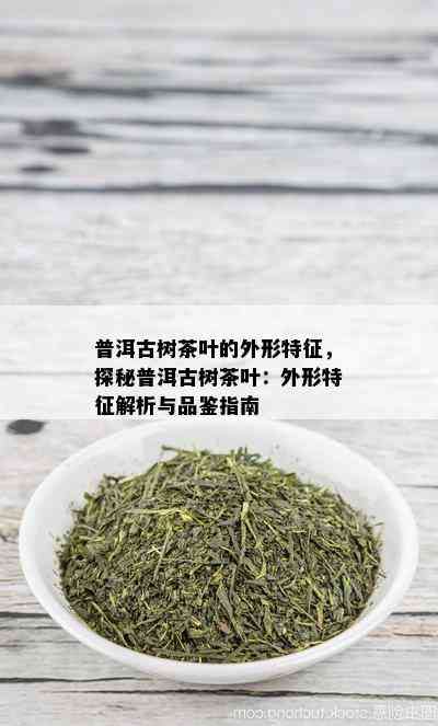 普洱古树茶叶的外形特征，探秘普洱古树茶叶：外形特征解析与品鉴指南