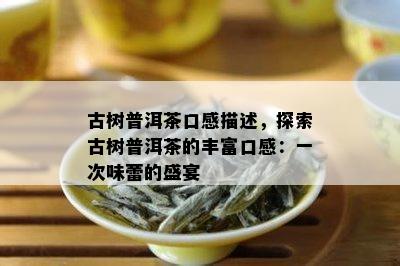 古树普洱茶口感描述，探索古树普洱茶的丰富口感：一次味蕾的盛宴