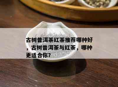 古树普洱茶红茶推荐哪种好，古树普洱茶与红茶，哪种更适合你？