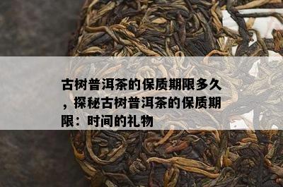 古树普洱茶的保质期限多久，探秘古树普洱茶的保质期限：时间的礼物