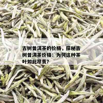 古树普洱茶的价格，探秘古树普洱茶价格：为何这种茶叶如此昂贵？