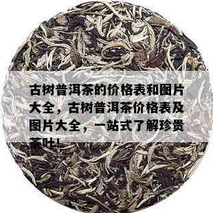 古树普洱茶的价格表和图片大全，古树普洱茶价格表及图片大全，一站式了解珍贵茶叶！