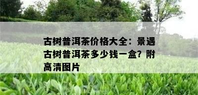 古树普洱茶价格大全：景遇古树普洱茶多少钱一盒？附高清图片