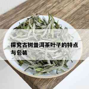 探究古树普洱茶叶子的特点与包装