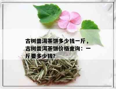 古树普洱茶饼多少钱一斤，古树普洱茶饼价格查询：一斤要多少钱？