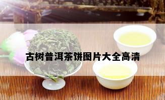 古树普洱茶饼图片大全高清