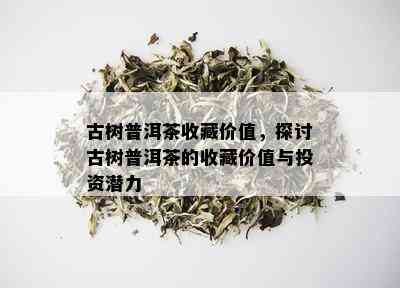 古树普洱茶收藏价值，探讨古树普洱茶的收藏价值与投资潜力