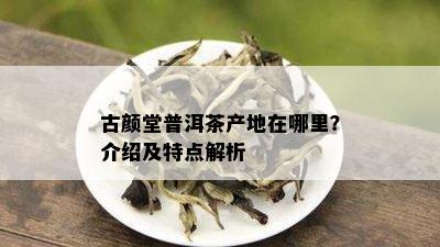 古颜堂普洱茶产地在哪里？介绍及特点解析