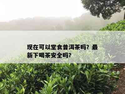 现在可以堂食普洱茶吗？最新下喝茶安全吗？