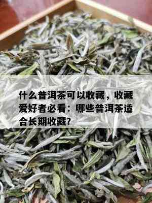 什么普洱茶可以收藏，收藏爱好者必看：哪些普洱茶适合长期收藏？