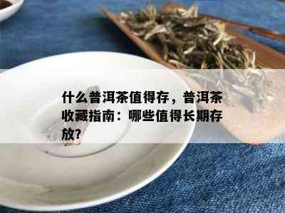 什么普洱茶值得存，普洱茶收藏指南：哪些值得长期存放？