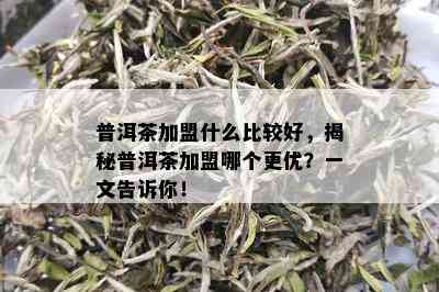 普洱茶加盟什么比较好，揭秘普洱茶加盟哪个更优？一文告诉你！