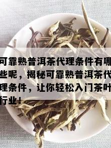 可靠熟普洱茶代理条件有哪些呢，揭秘可靠熟普洱茶代理条件，让你轻松入门茶叶行业！