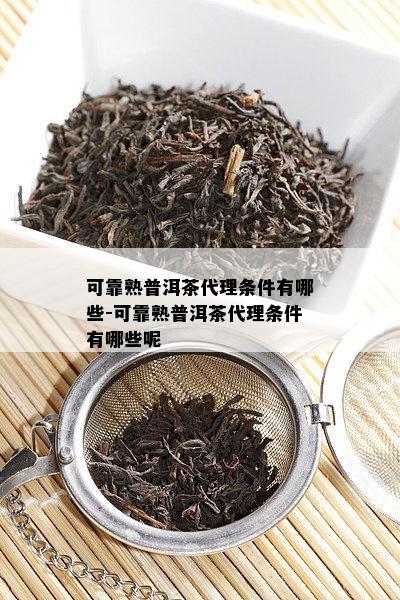 可靠熟普洱茶代理条件有哪些-可靠熟普洱茶代理条件有哪些呢