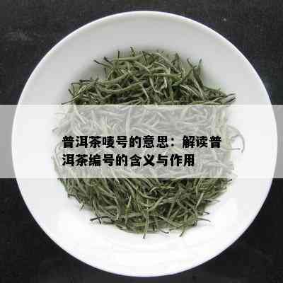 普洱茶唛号的意思：解读普洱茶编号的含义与作用