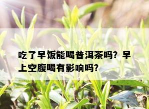 吃了早饭能喝普洱茶吗？早上空腹喝有影响吗？