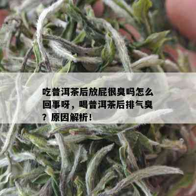 吃普洱茶后放屁很臭吗怎么回事呀，喝普洱茶后排气臭？原因解析！