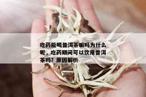 吃药能喝普洱茶嘛吗为什么呢，吃药期间可以饮用普洱茶吗？原因解析