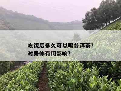 吃饭后多久可以喝普洱茶？对身体有何影响？