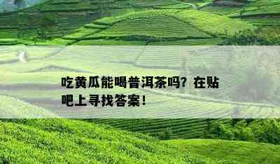 吃黄瓜能喝普洱茶吗？在贴吧上寻找答案！