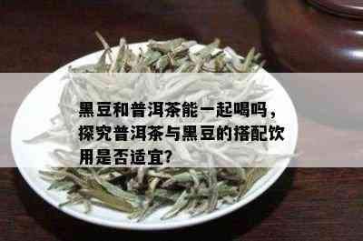 黑豆和普洱茶能一起喝吗，探究普洱茶与黑豆的搭配饮用是否适宜？