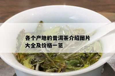 各个产地的普洱茶介绍图片大全及价格一览