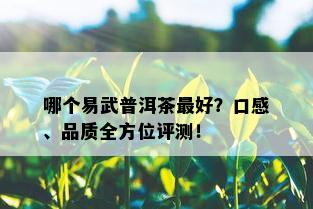 哪个易武普洱茶更好？口感、品质全方位评测！