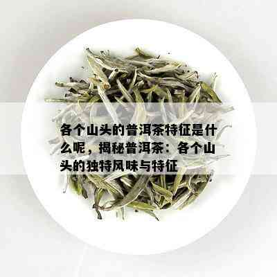 各个山头的普洱茶特征是什么呢，揭秘普洱茶：各个山头的独特风味与特征