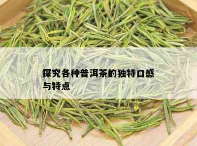 探究各种普洱茶的独特口感与特点