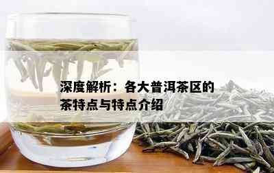 深度解析：各大普洱茶区的茶特点与特点介绍