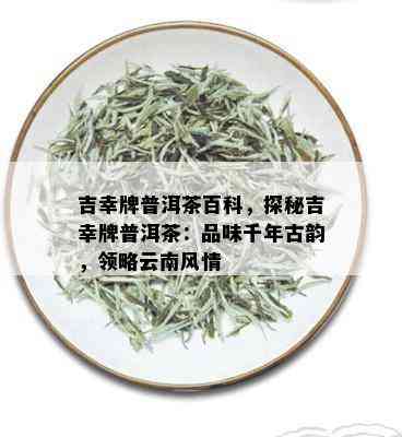 吉幸牌普洱茶百科，探秘吉幸牌普洱茶：品味千年古韵，领略云南风情