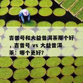 吉普号和大益普洱茶那个好，吉普号 vs 大益普洱茶：哪个更好？