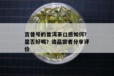 吉普号的普洱茶口感如何？是否好喝？请品尝者分享评价