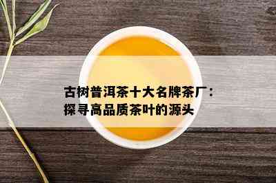 古树普洱茶十大名牌茶厂：探寻高品质茶叶的源头