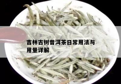 吉林古树普洱茶日常用法与用量详解