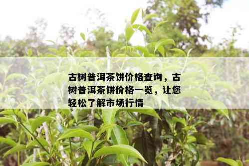 古树普洱茶饼价格查询，古树普洱茶饼价格一览，让您轻松了解市场行情