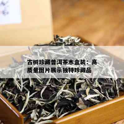 古树珍藏普洱茶木盒装：高质量图片展示独特珍藏品