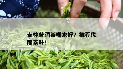 吉林普洱茶哪家好？推荐优质茶叶！