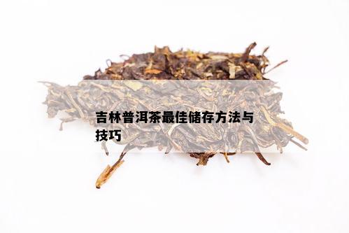 吉林普洱茶更佳储存方法与技巧