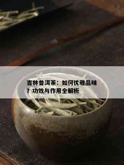 吉林普洱茶：如何优雅品味？功效与作用全解析