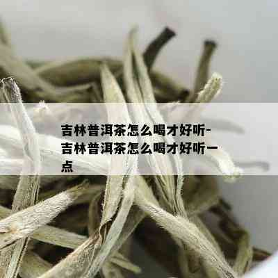 吉林普洱茶怎么喝才好听-吉林普洱茶怎么喝才好听一点