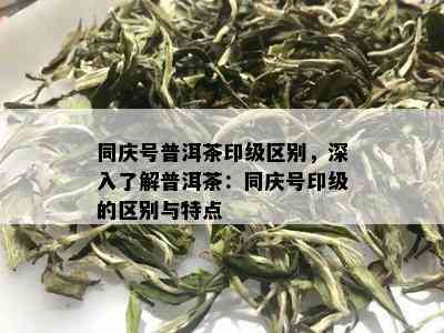 同庆号普洱茶印级区别，深入了解普洱茶：同庆号印级的区别与特点