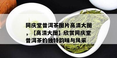 同庆堂普洱茶图片高清大图，【高清大图】欣赏同庆堂普洱茶的独特韵味与风采